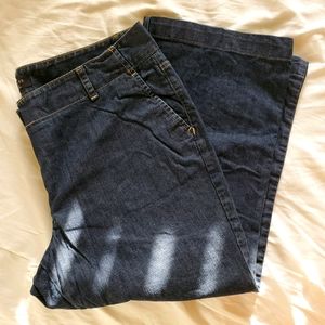Talbots Flare Jeans 20W